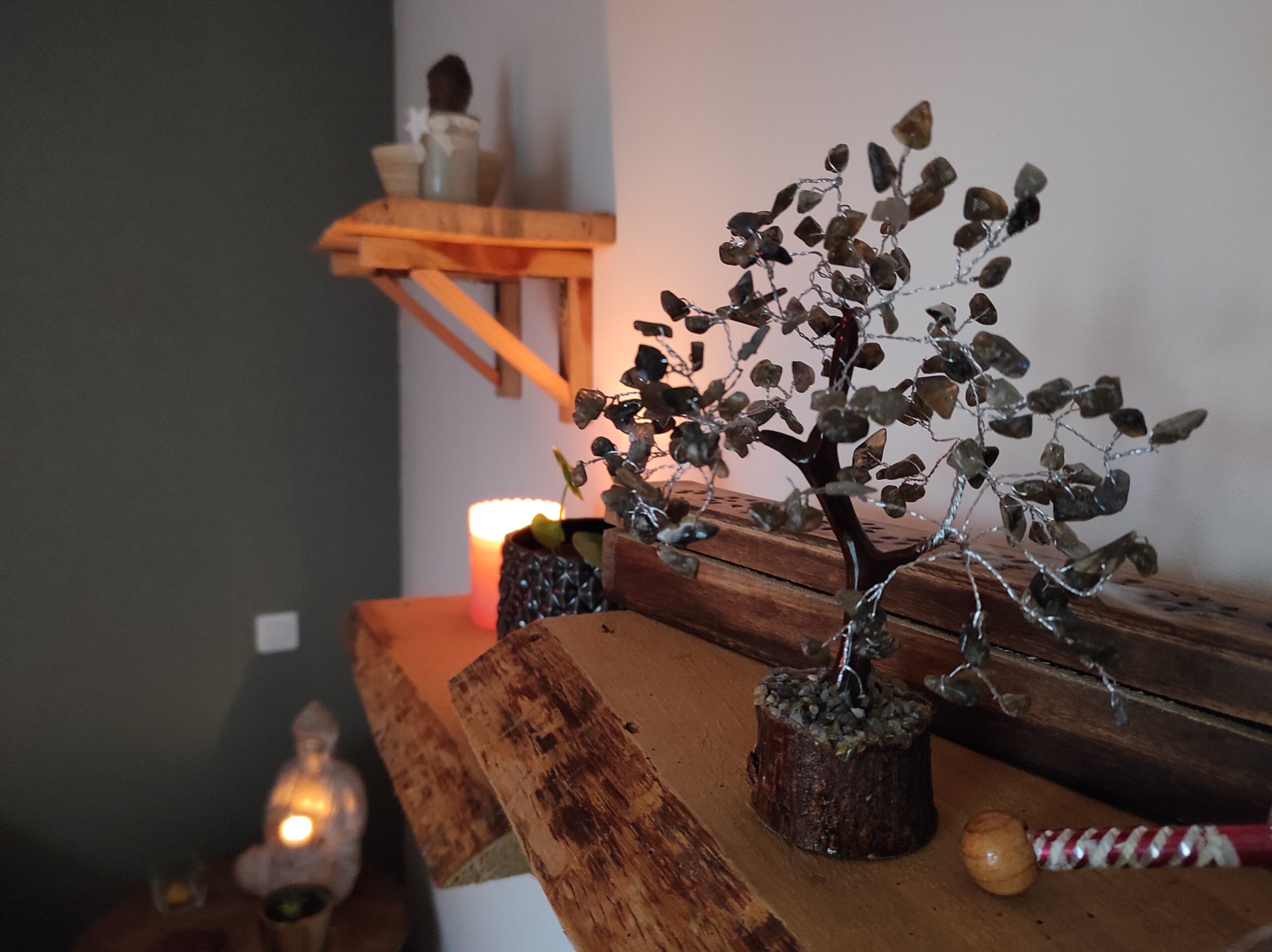 photo salle de soins